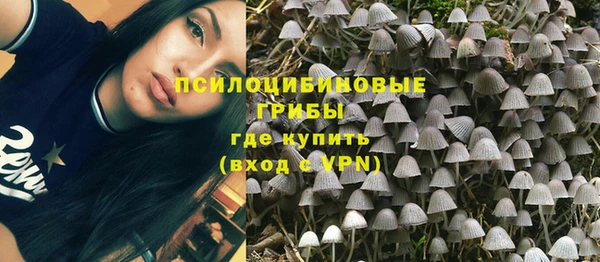 каннабис Няндома