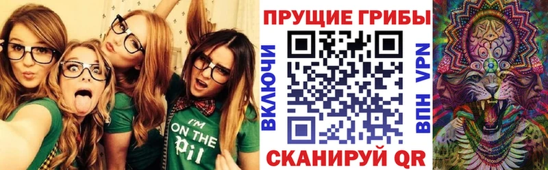Галлюциногенные грибы Psilocybe  Алексин 